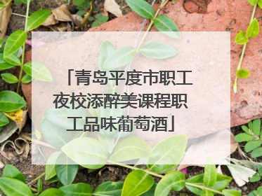 青岛平度市职工夜校添醉美课程职工品味葡萄酒
