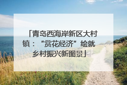 青岛西海岸新区大村镇：“赏花经济”绘就乡村振兴新图景