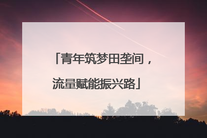 青年筑梦田垄间，流量赋能振兴路