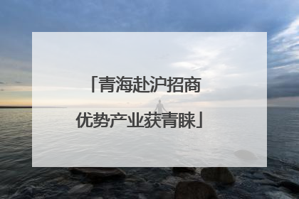 青海赴沪招商 优势产业获青睐