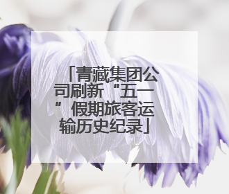 青藏集团公司刷新“五一”假期旅客运输历史纪录