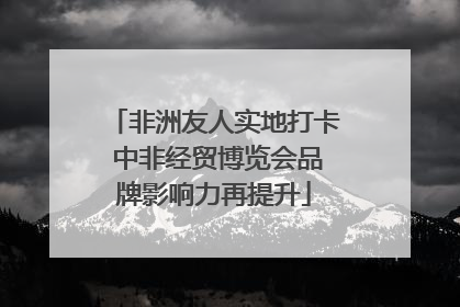 非洲友人实地打卡 中非经贸博览会品牌影响力再提升