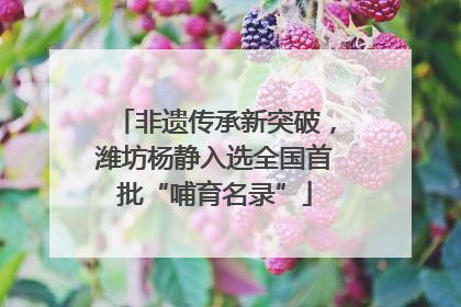 非遗传承新突破，潍坊杨静入选全国首批“哺育名录”