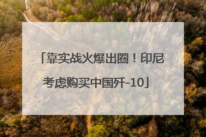 靠实战火爆出圈！印尼考虑购买中国歼-10