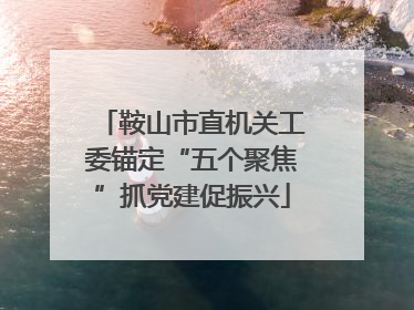 鞍山市直机关工委锚定“五个聚焦”抓党建促振兴