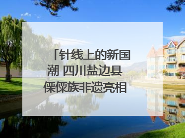 针线上的新国潮 四川盐边县傈僳族非遗亮相西博会｜图集