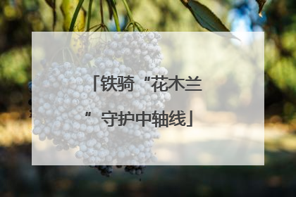 铁骑“花木兰”守护中轴线