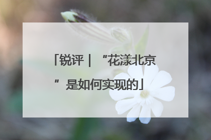 锐评｜“花漾北京”是如何实现的