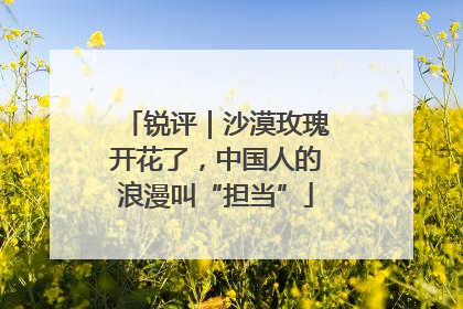 锐评｜沙漠玫瑰开花了，中国人的浪漫叫“担当”