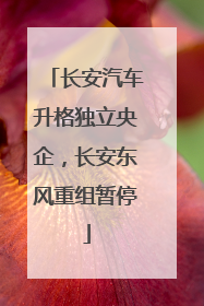 长安汽车升格独立央企，长安东风重组暂停