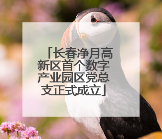 长春净月高新区首个数字产业园区党总支正式成立
