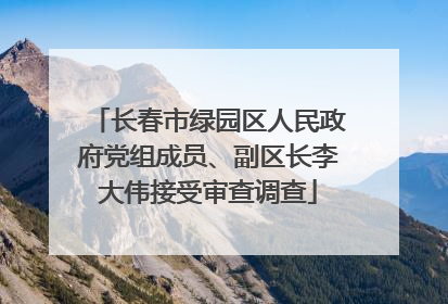 长春市绿园区人民政府党组成员、副区长李大伟接受审查调查