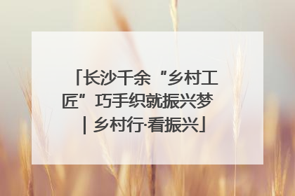 长沙千余“乡村工匠”巧手织就振兴梦｜乡村行·看振兴