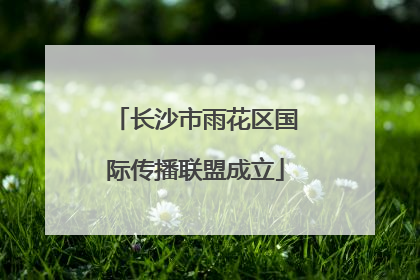 长沙市雨花区国际传播联盟成立