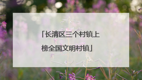 长清区三个村镇上榜全国文明村镇