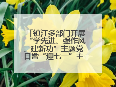 镇江多部门开展“学先进、强作风、建新功”主题党日暨“迎七一”主题活动