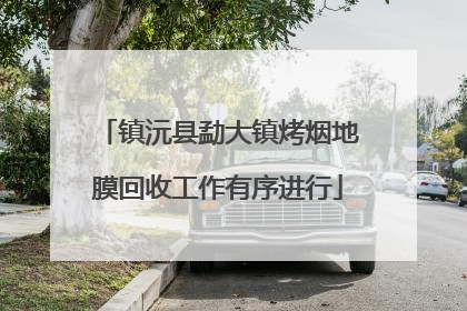 镇沅县勐大镇烤烟地膜回收工作有序进行