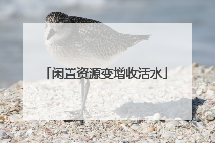 闲置资源变增收活水