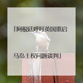 阿根廷呼吁英国重启马岛主权问题谈判
