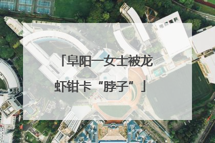 阜阳一女士被龙虾钳卡“脖子”