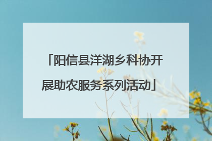 阳信县洋湖乡科协开展助农服务系列活动
