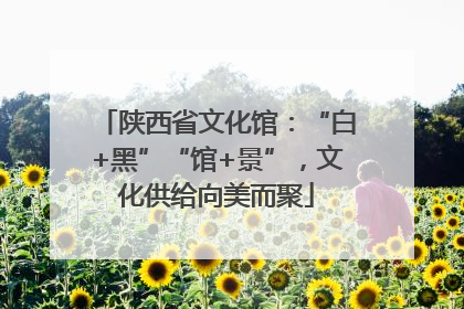 陕西省文化馆：“白+黑”“馆+景”，文化供给向美而聚