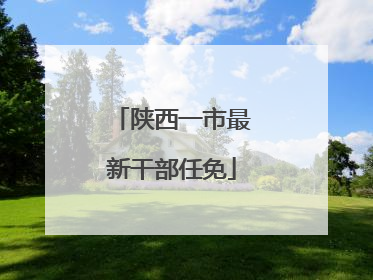 陕西一市最新干部任免