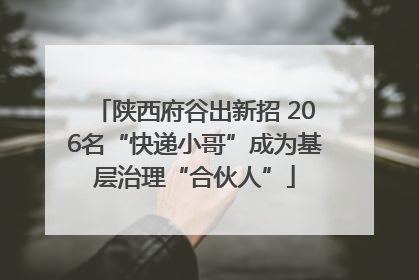 陕西府谷出新招 206名“快递小哥”成为基层治理“合伙人”