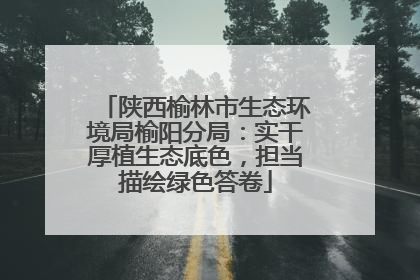 陕西榆林市生态环境局榆阳分局：实干厚植生态底色，担当描绘绿色答卷