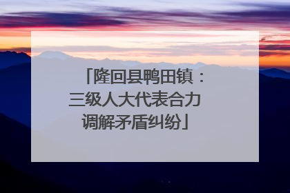 隆回县鸭田镇：三级人大代表合力调解矛盾纠纷