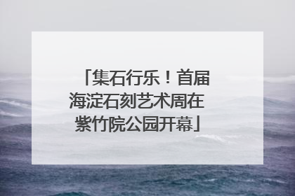 集石行乐！首届海淀石刻艺术周在紫竹院公园开幕