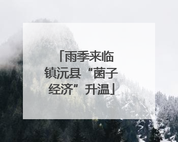 雨季来临 镇沅县“菌子经济”升温
