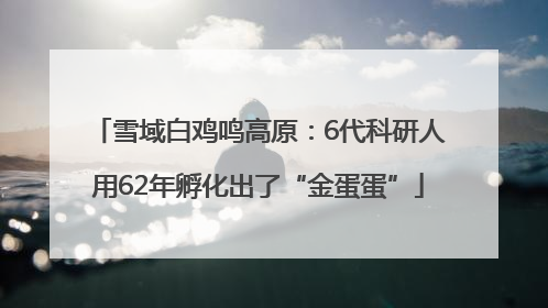 雪域白鸡鸣高原：6代科研人用62年孵化出了“金蛋蛋”
