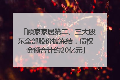 顾家家居第二、三大股东全部股份被冻结，债权金额合计约20亿元