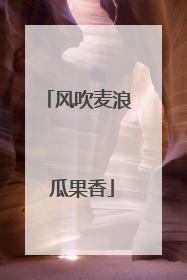 风吹麦浪 瓜果香