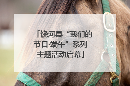 饶河县“我们的节日·端午”系列主题活动启幕