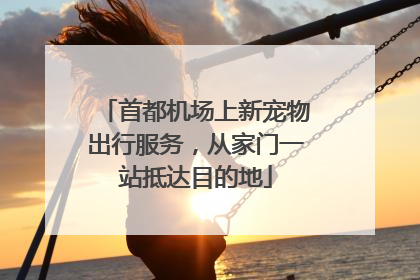 首都机场上新宠物出行服务，从家门一站抵达目的地