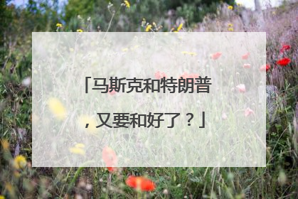 马斯克和特朗普，又要和好了？
