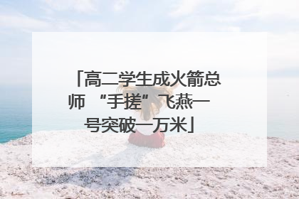高二学生成火箭总师 “手搓”飞燕一号突破一万米