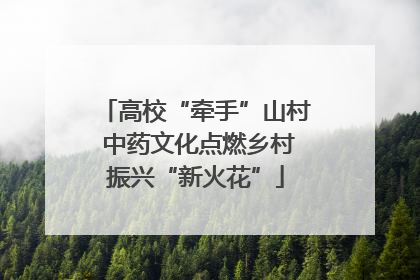 高校“牵手”山村 中药文化点燃乡村振兴“新火花”