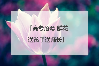 高考落幕 鲜花送孩子送师长