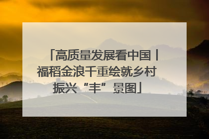 高质量发展看中国丨福稻金浪千重绘就乡村振兴“丰”景图