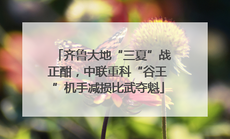 齐鲁大地“三夏”战正酣，中联重科“谷王”机手减损比武夺魁