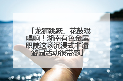 龙狮跳跃、花鼓戏唱响！湖南有色金属职院这场沉浸式非遗游园活动很带感