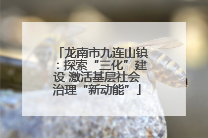 龙南市九连山镇：探索“三化”建设 激活基层社会治理“新动能”