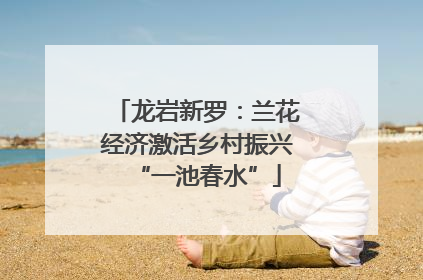 龙岩新罗：兰花经济激活乡村振兴“一池春水”