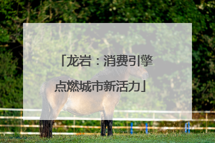 龙岩：消费引擎点燃城市新活力