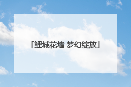 鲤城花墙 梦幻绽放