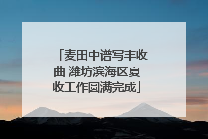 麦田中谱写丰收曲 潍坊滨海区夏收工作圆满完成