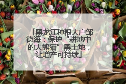 黑龙江种粮大户邹德海：保护“耕地中的大熊猫”黑土地，让增产可持续